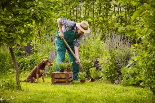 Maintaining a pristine deck with regular services