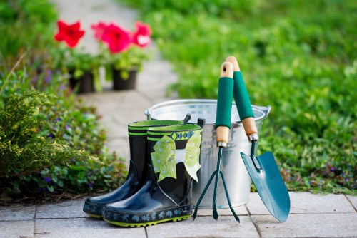 Benefits of professional garden maintenance in Barnes