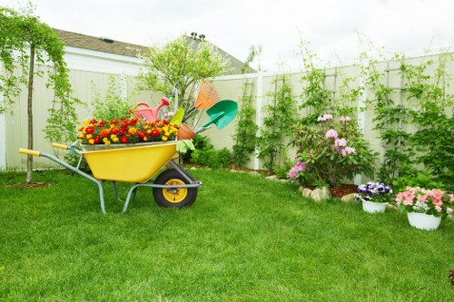 Professional tree lopping service in Barnes