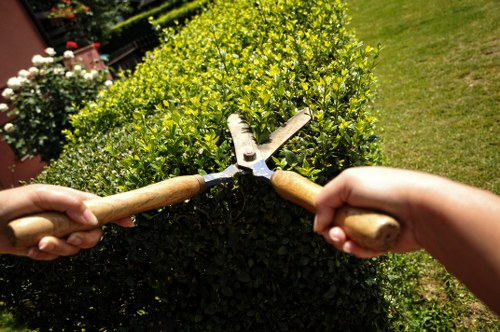 Advanced lawn care techniques being applied by experts in Barnes