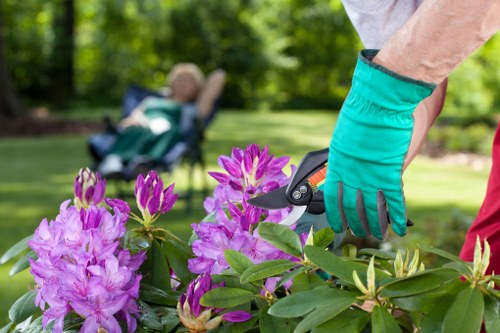 Photo of a gardener interacting with a client, demonstrating inclusive service in Barnes