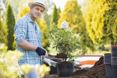 Thriving sustainable garden created by Gardener Barnes