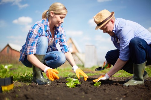 Professional landscaper working on a garden